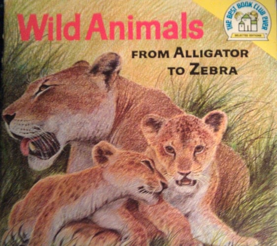 Animals Wild