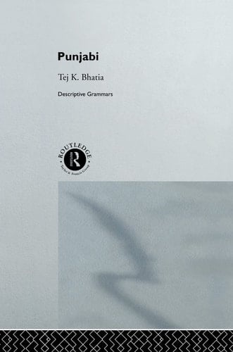 Punjabi A Conginitive-descriptive Grammar