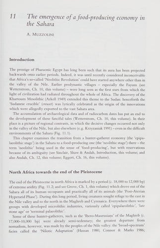 The Archaeology of Africa: Food, Metals and Towns (One World Archaeology)