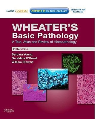 Wheaters Basic Pathology
            
                Basic Histopathology Wheaters Burkitt