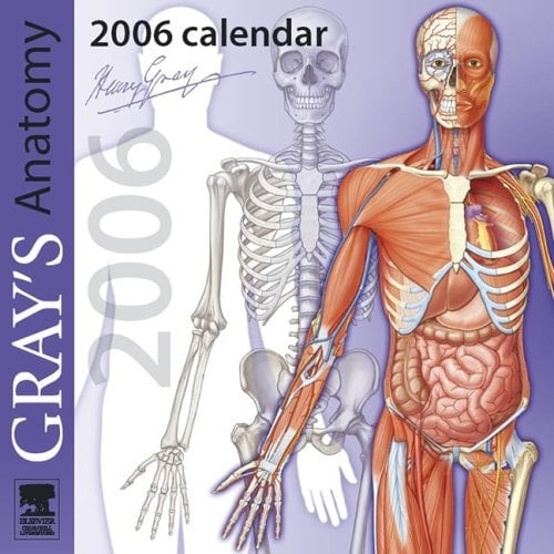 Anatomy 2006