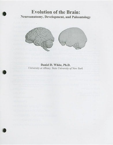 Custom Enrichment Module: Evolution of the Brain: Neuroanatomy, Development, and Paleontology