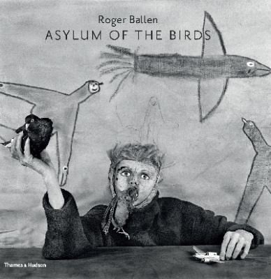The Asylum of the Birds