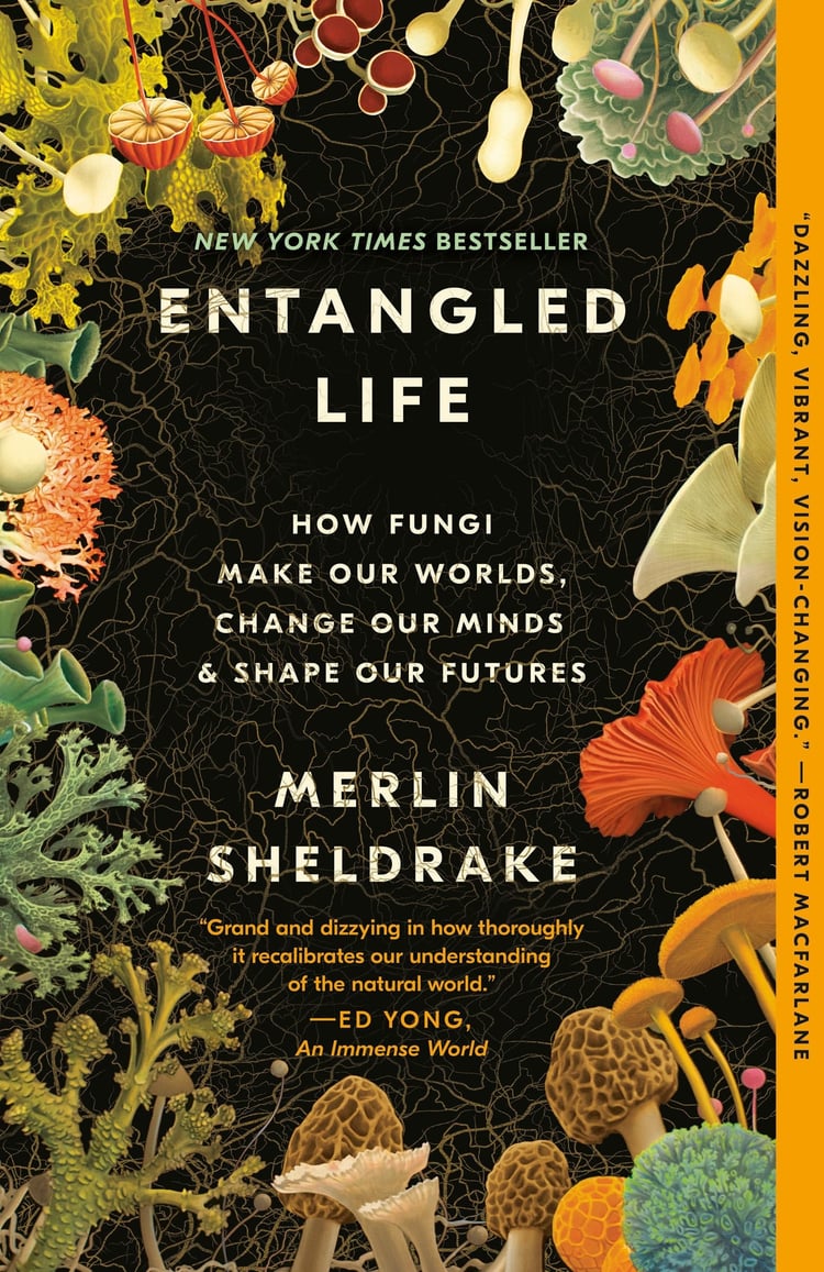 Entangled Life How Fungi Make Our Worlds, Change Our Minds & Shape Our Futures