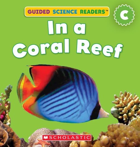 In A Coral Reef