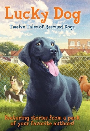Lucky Dog Twelve Tales of Rescued Dogs