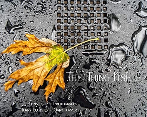 The Thing Itself