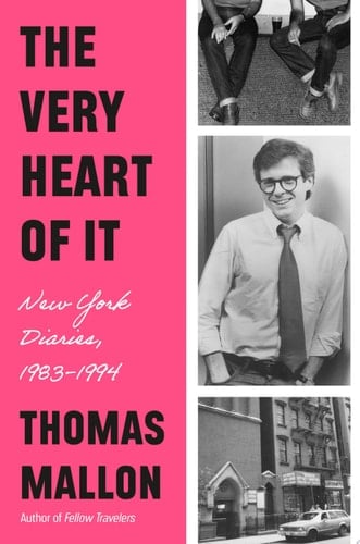 The Very Heart of It New York Diaries, 1983-1994