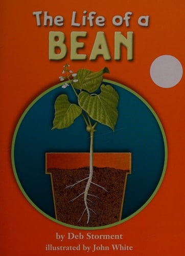 The Life of a Bean