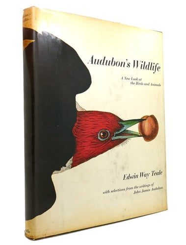 Audubon's Wildlife: 2