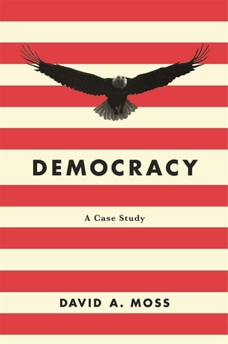 Democracy A Case Study