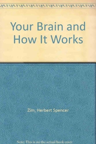 Your Brain and How It Works