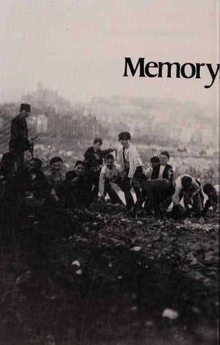 Memory and Enthusiasm Essays, 1975-1985