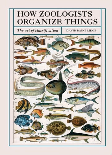 How Zoologists Organize Things The Art of Classification