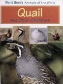 Quail and Other Galliforms