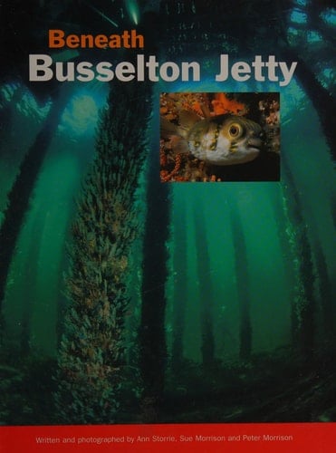 Beneath Busselton Jetty