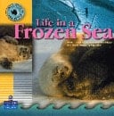 Life in a Frozen Sea