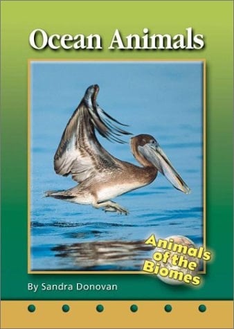 Ocean Animals