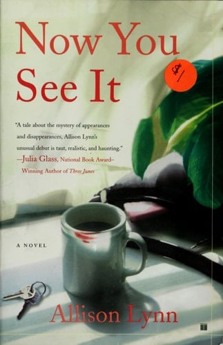 Now You See It: A Novel