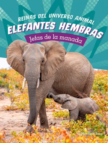 Elefantes Hembras Jefas de la Manada