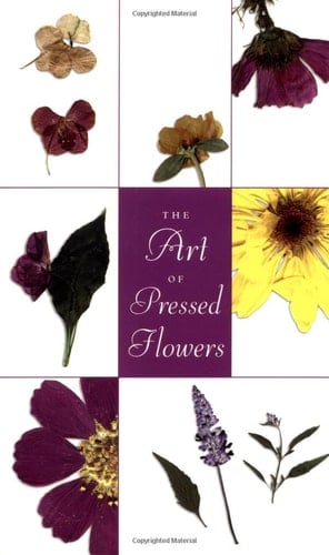Art Of Pressed Flowers A Complete Portfolio