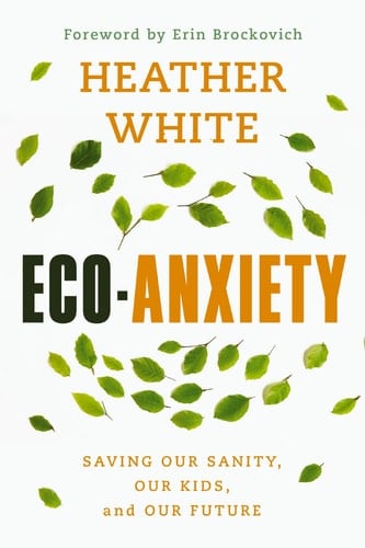 Eco-Anxiety Saving Our Sanity, Our Kids, and Our Future