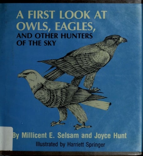 A First Look at Owls, Eagles, and Other Hunters of the Sky