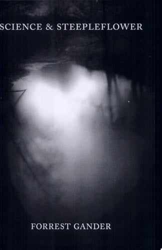 Science & Steepleflower