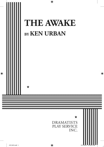 The Awake