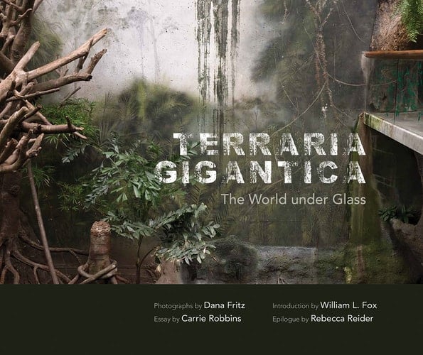 Terraria Gigantica The World under Glass