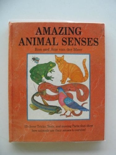 Amazing Animal Senses