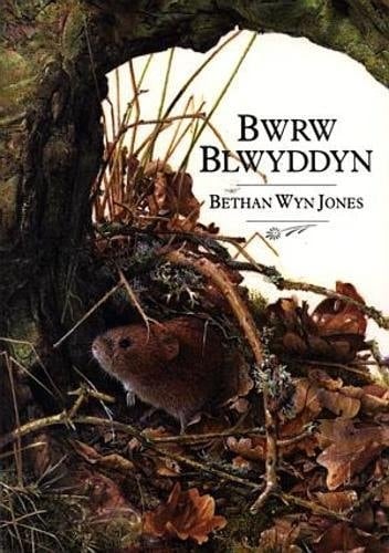 Bwrw blwyddyn