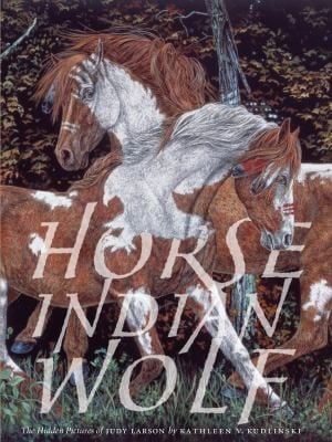 Horse Indian Wolf The Hidden Pictures Of Judy Larson