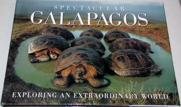 Spectacular Galapagos