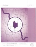 County Business Patterns Virginia 1999