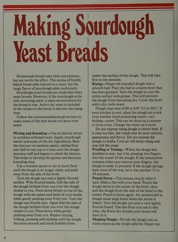 The Sourdough Cookbook