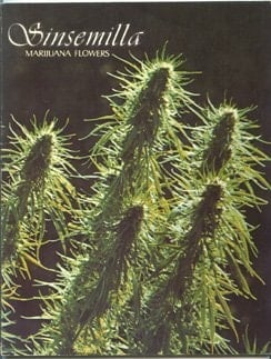 Sinsemilla Marijuana Flowers