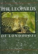 The leopards of Londolozi