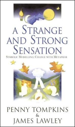 A Strange And Strong Sensation: Symbolic Modelling; Change With Metaphor