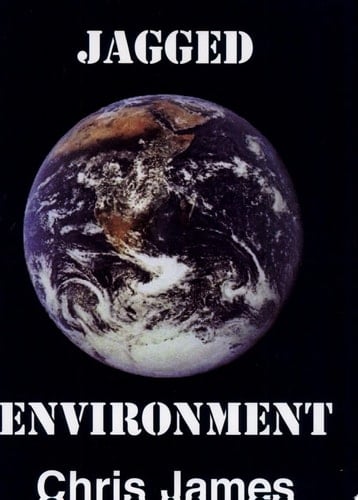 Jagged Environment An Extended Essay