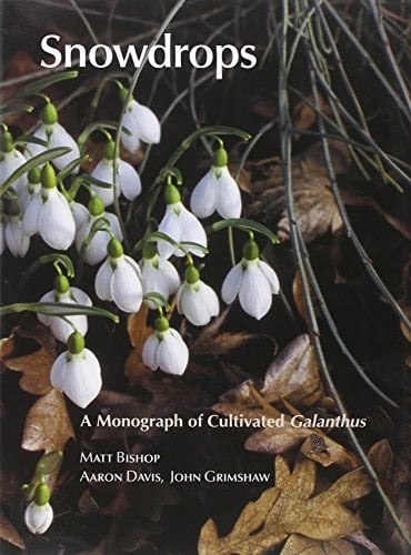 Snowdrops A Monograph of Cultivated Galanthus