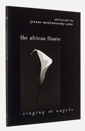 The African Flower