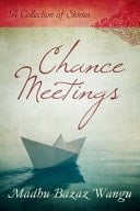 Chance Meetings A Collection of Stories