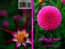 Dahlias of Today 2009