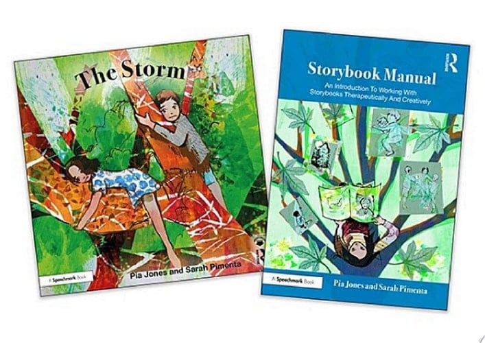The Storm and Storybook Manual