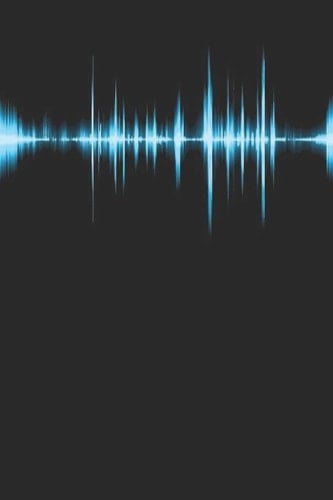 Music Journal