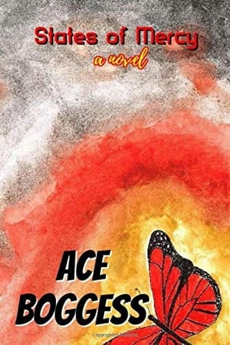 States of Mercy A Novel