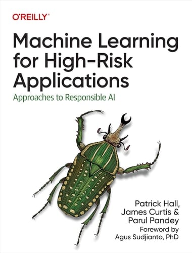 Machine Learning for High-risk Applications Approaches to Responsible AI
