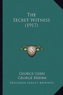 The Secret Witness (1917)