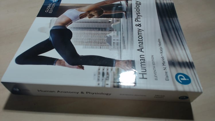 Human Anatomy & Physiology plus Pearson MasteringAnatomy & Physiology with Pearson eText, Global Edition